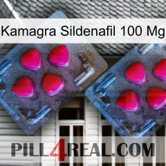 Kamagra Sildenafil 100Mg 14